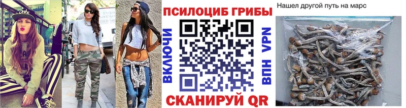 Псилоцибиновые грибы прущие грибы  что такое   Большой Камень 